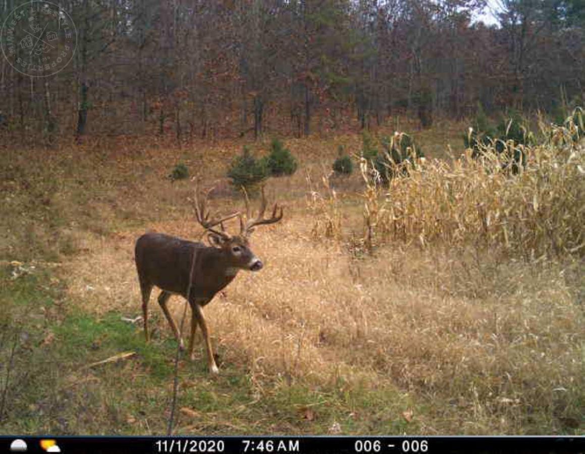 Wisconsin Dells, Adams County, WI Recreational Property, Hunting