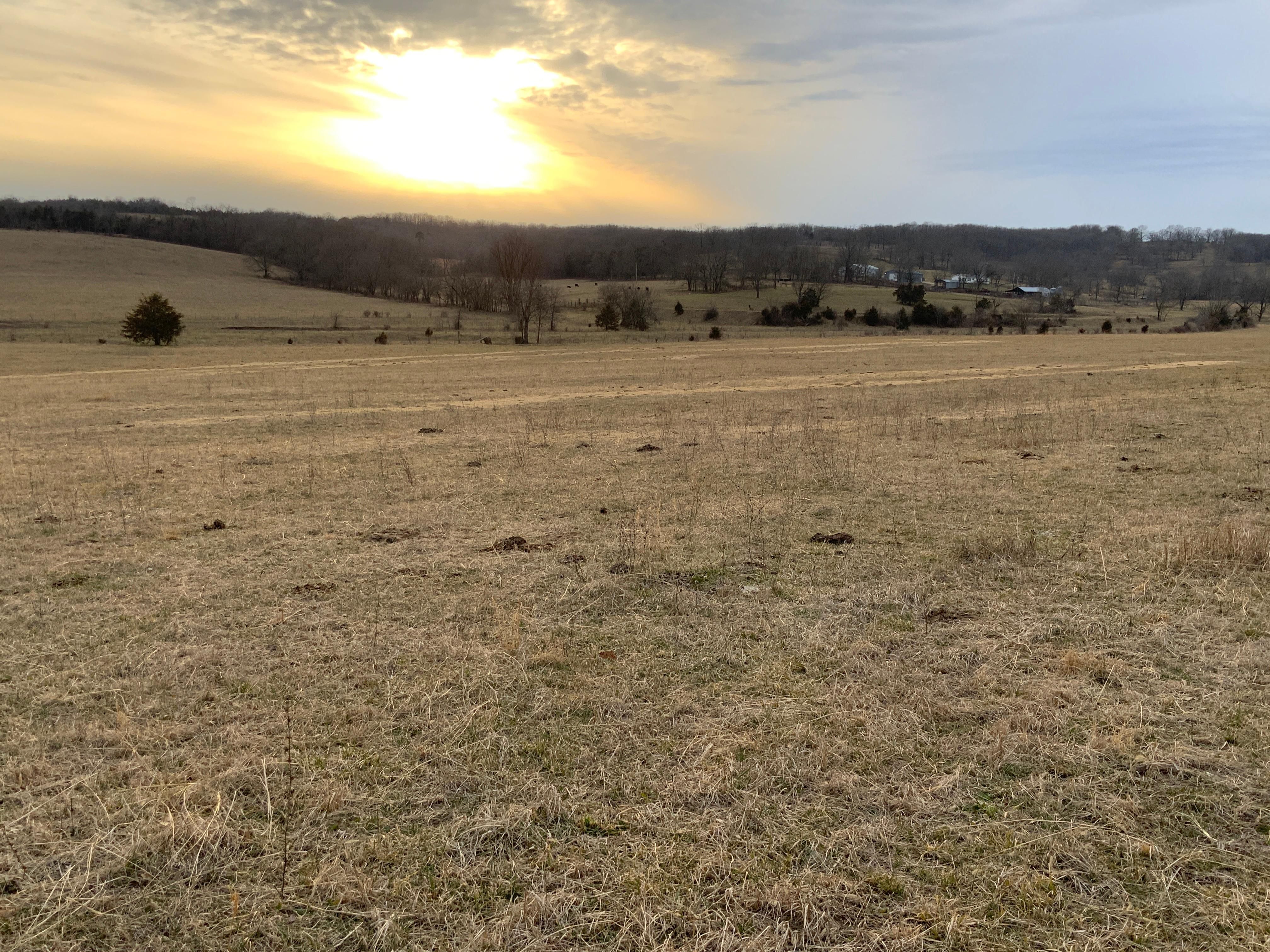 Mountain Grove, Douglas County, MO Farms and Ranches, Hunting Property
