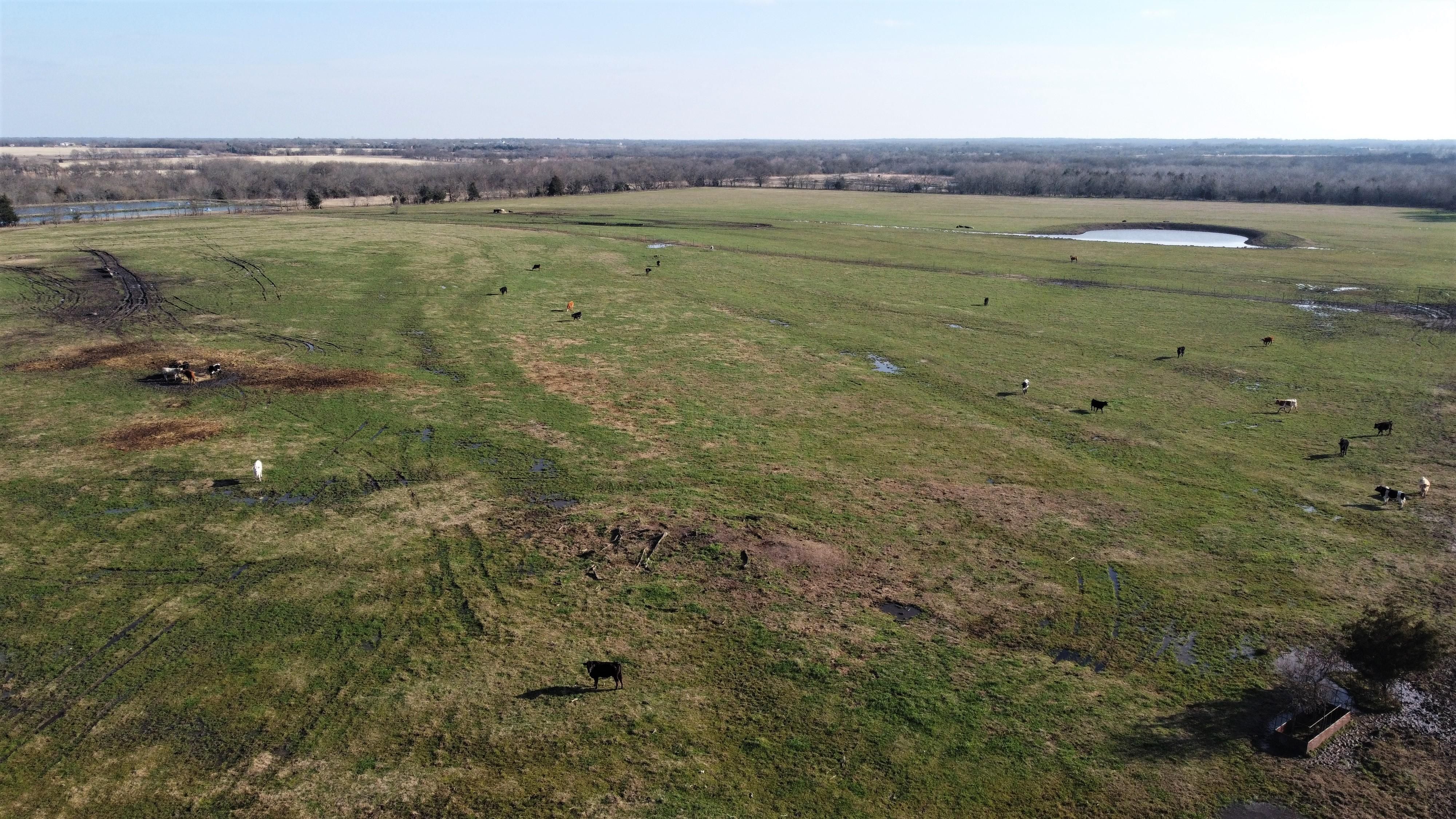 Celeste, Hunt County, TX Farms and Ranches for sale Property ID