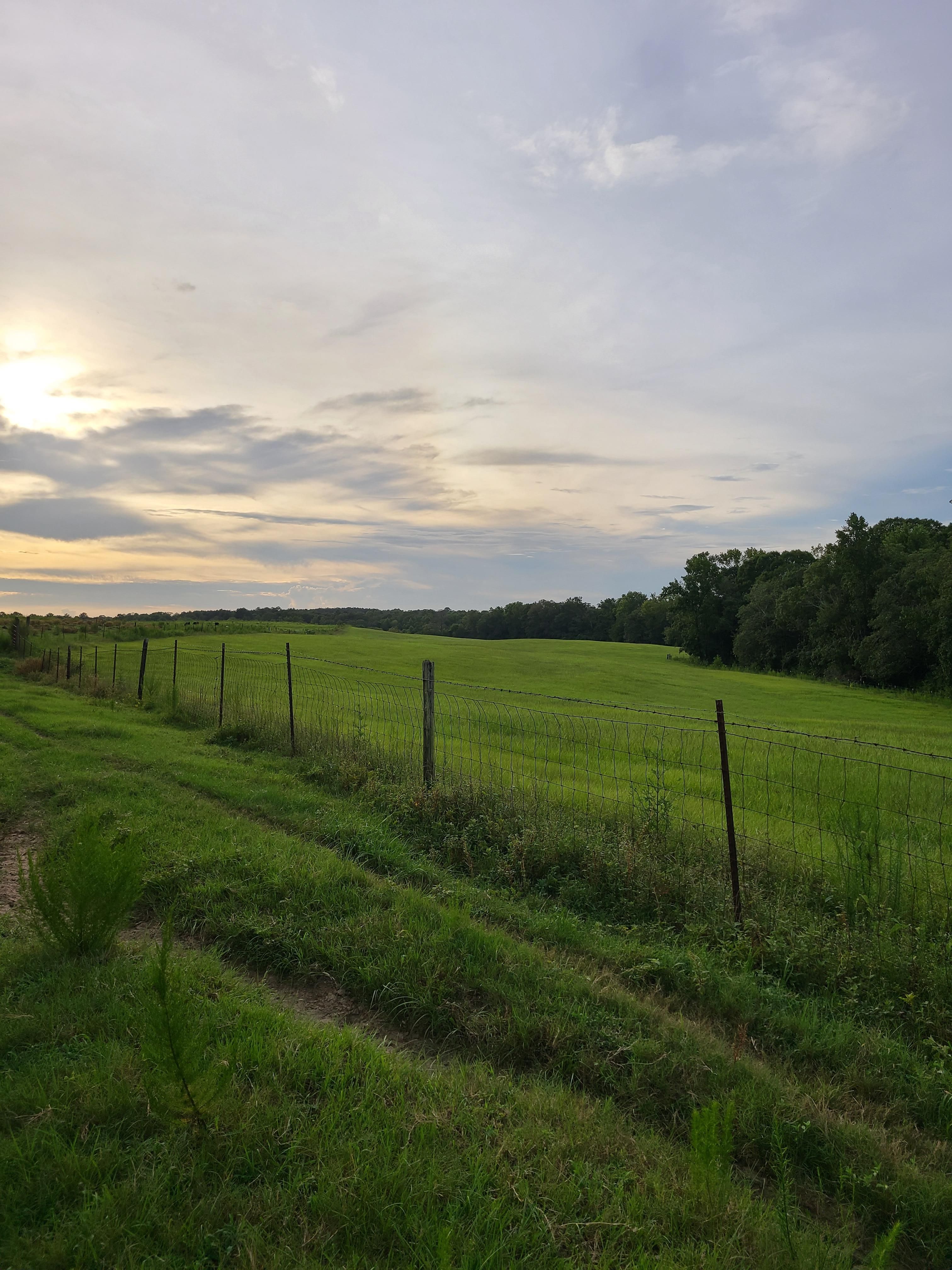 112 acres in Opp, AL, 36467 LandWatch