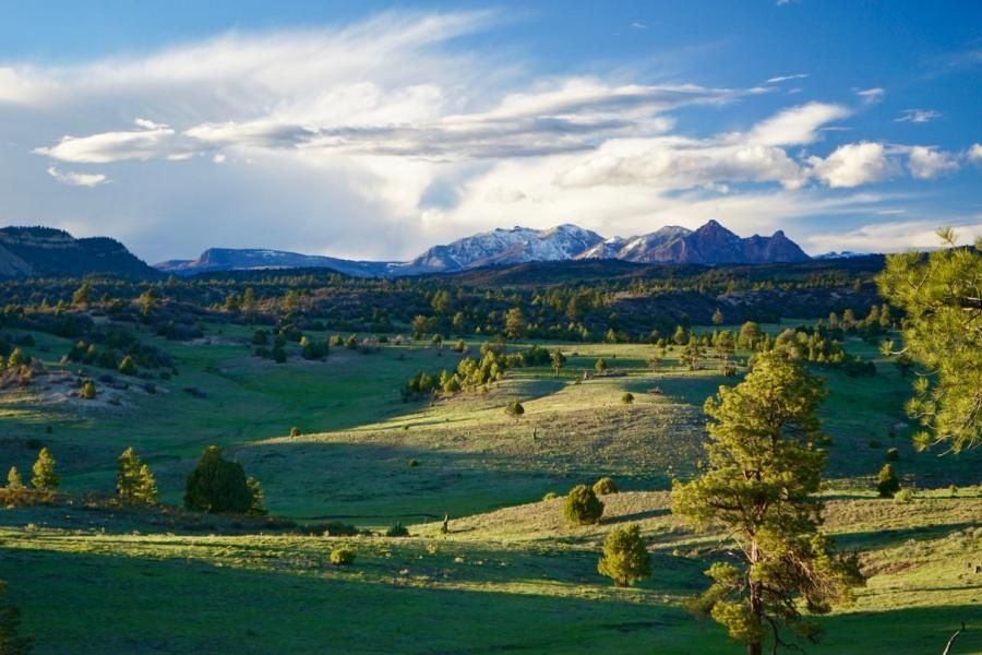 16,309 acres in Chama, NM, 87520 LandWatch