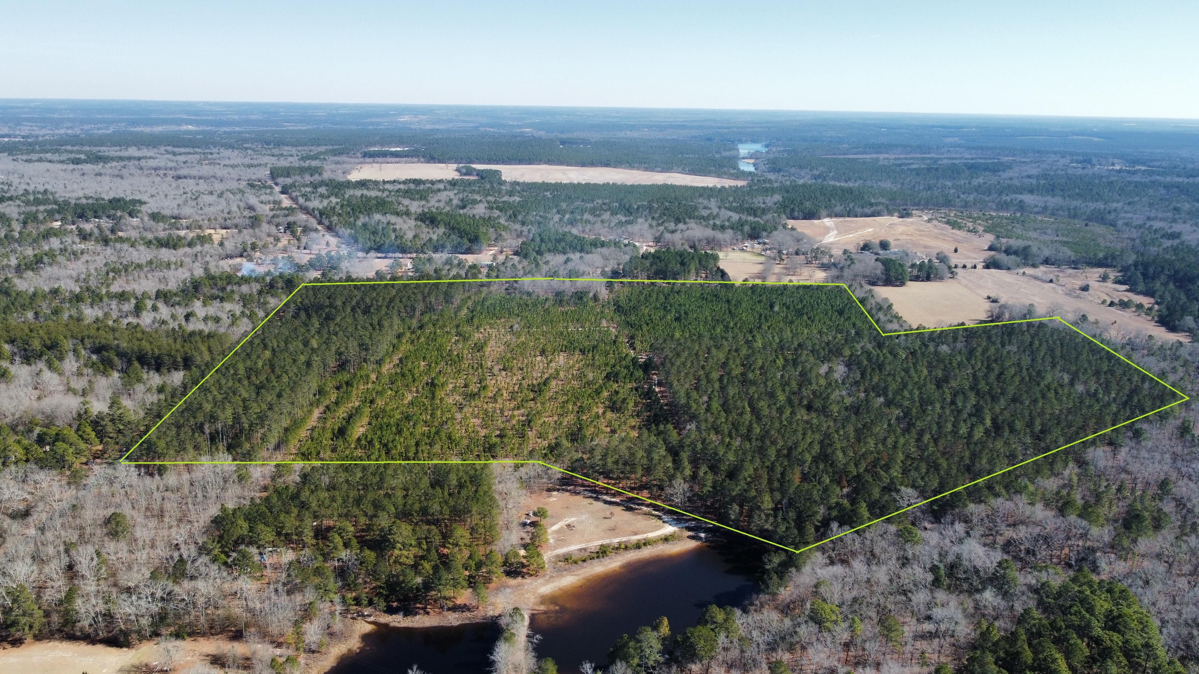 Wagener, Aiken County, SC Recreational Property, Timberland Property