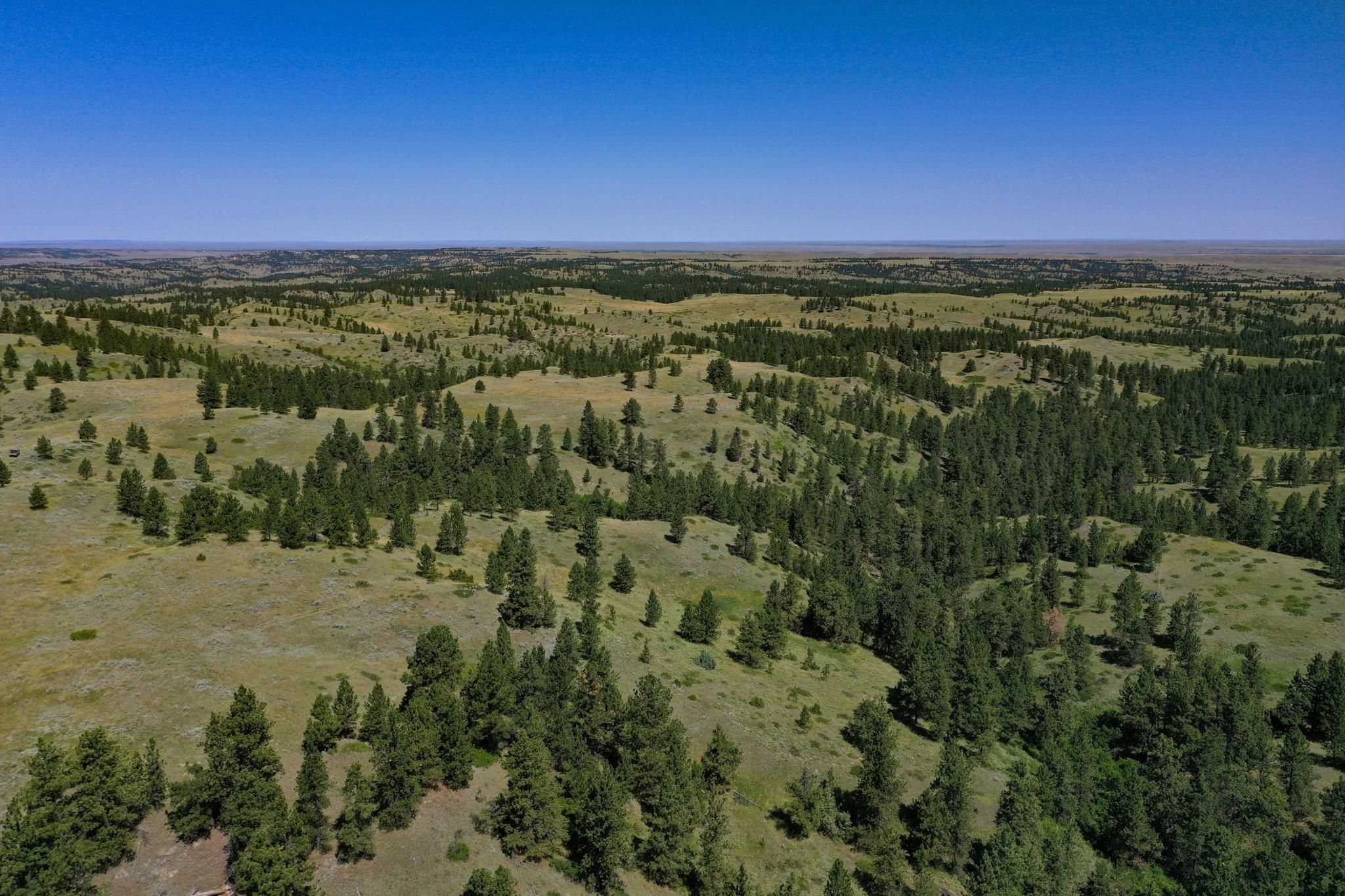 162.49 acres in Hysham, MT, 59038 LandWatch
