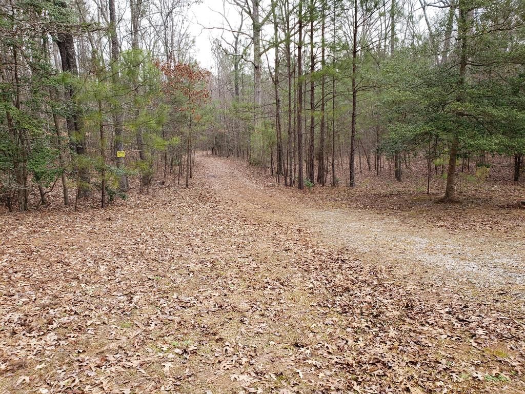 Boydton, Mecklenburg County, VA Undeveloped Land, Lakefront Property