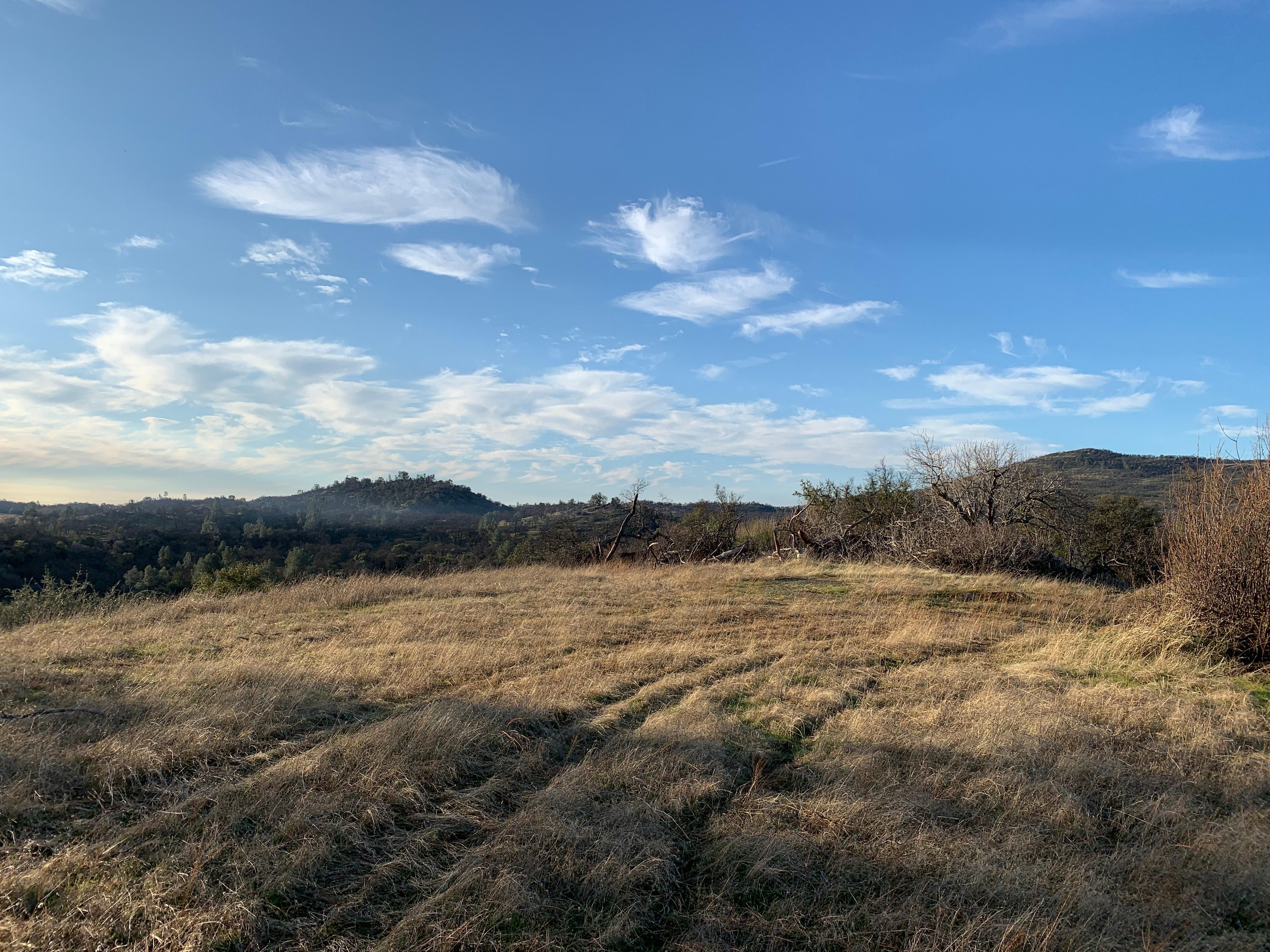 Catheys Valley, Mariposa County, CA Horse Property for sale Property ID