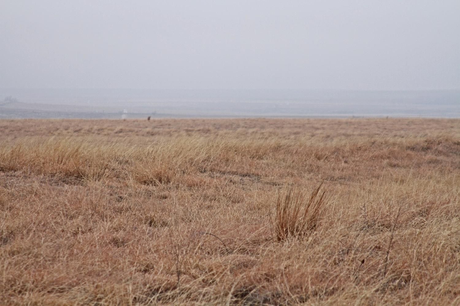 County, TX Farms and Ranches, Undeveloped Land for sale Property ID