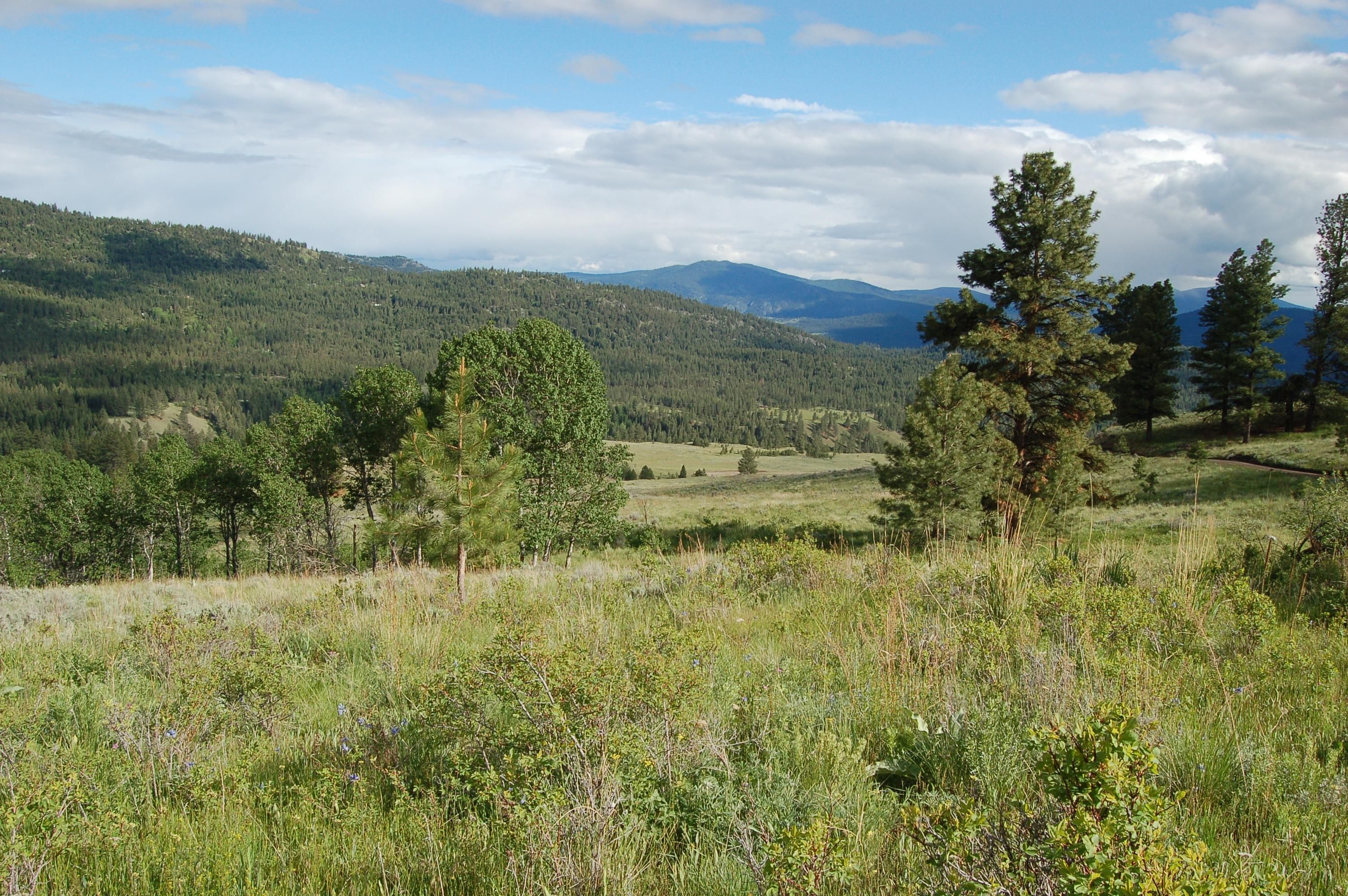 437 Cape Labelle Rd, Tonasket, WA 98855 LandWatch