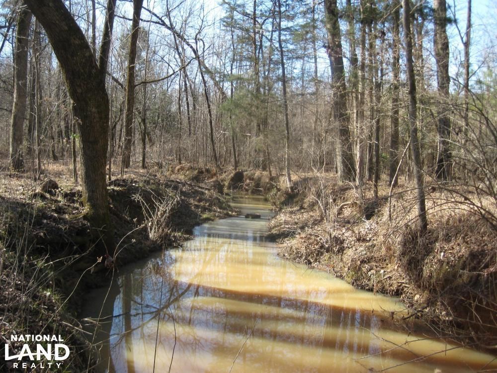 Blair, Fairfield County, SC Recreational Property, Timberland Property, Hunting Property for