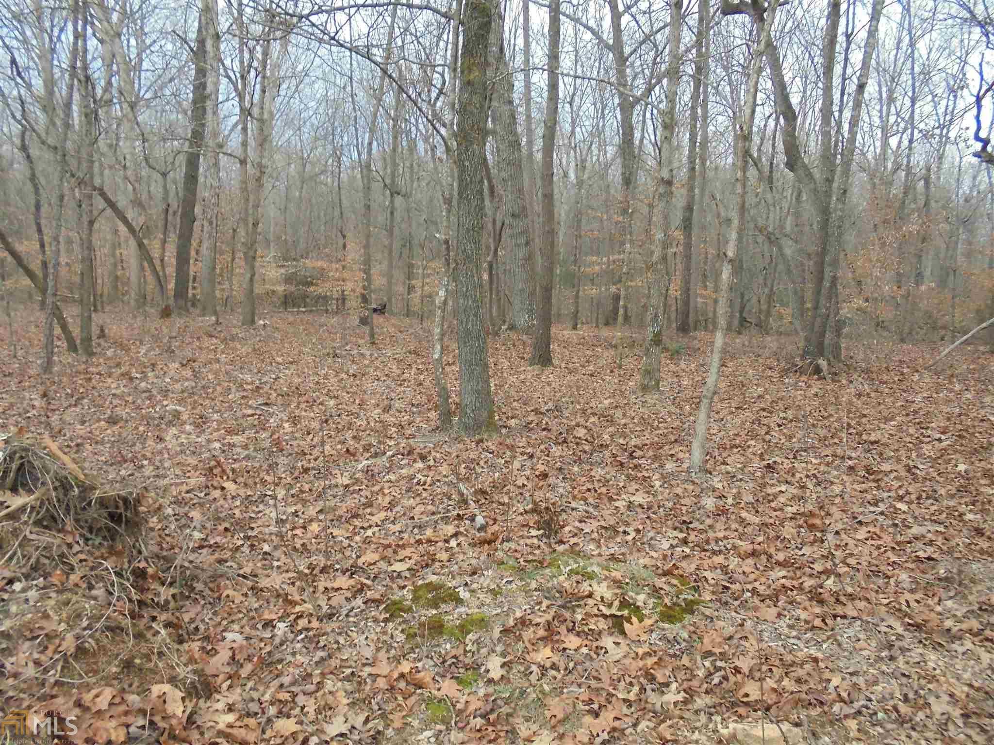 Royston, Hart County, GA Farms and Ranches for sale Property ID