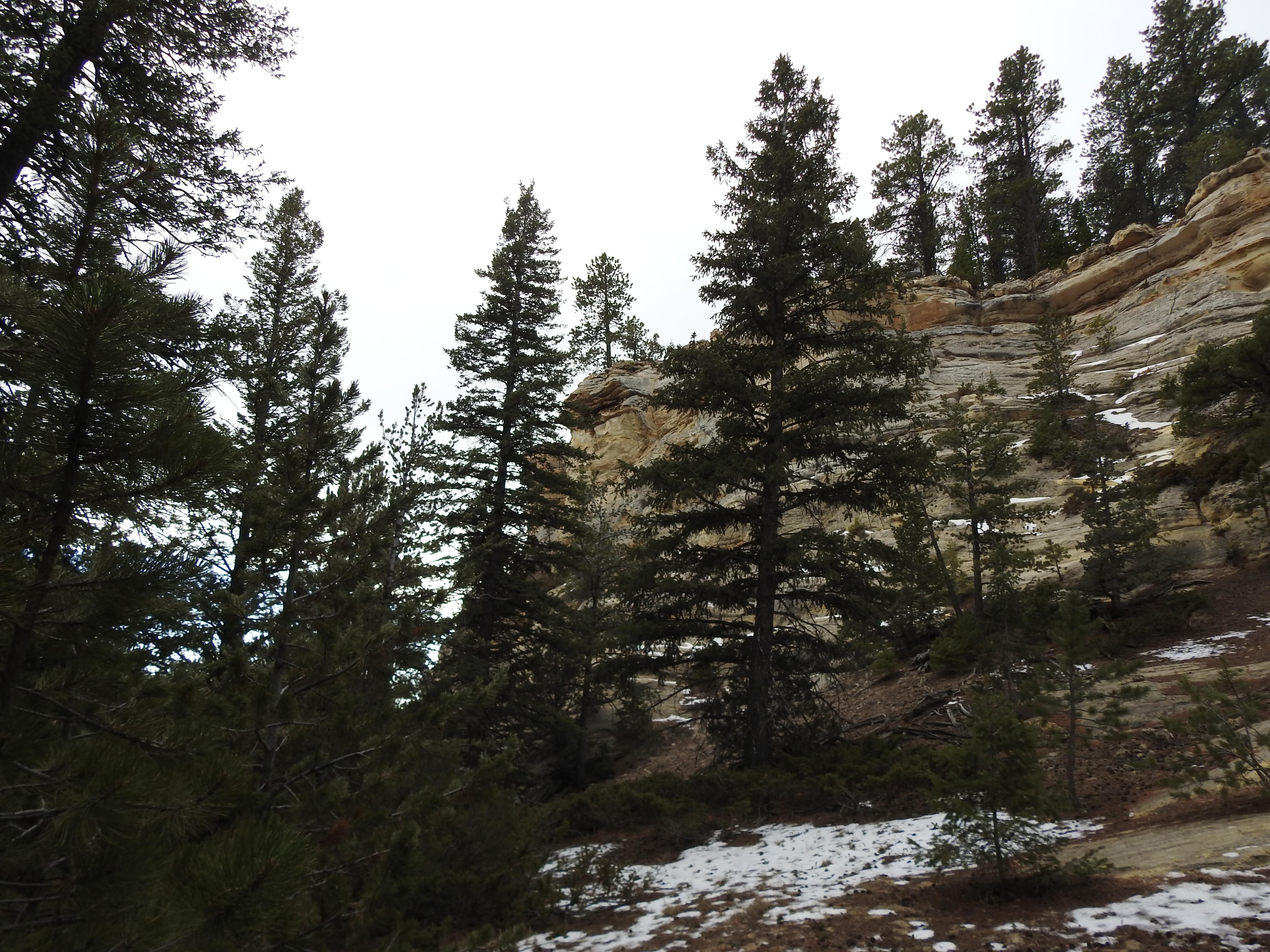Hyattville, Big Horn County, WY Recreational Property, Undeveloped Land