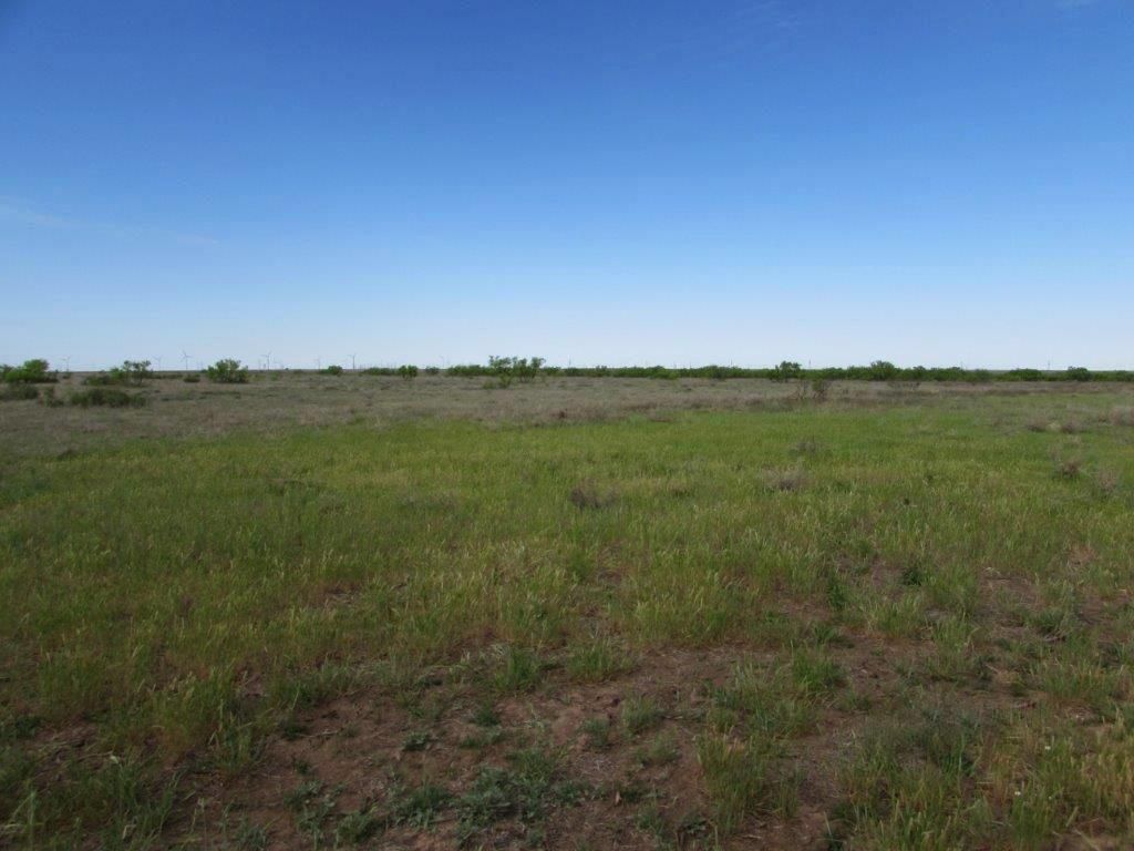 Floydada, Floyd County, TX Farms and Ranches for sale Property ID