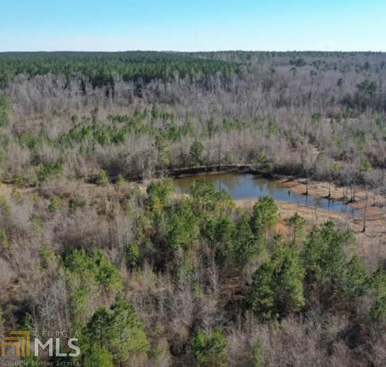 Eastman, Dodge County, GA Undeveloped Land for sale Property ID