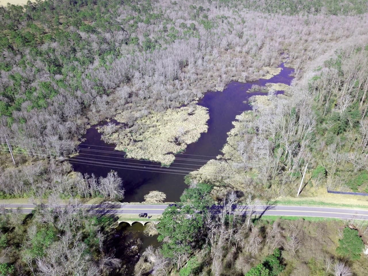 Chattahoochee, Gadsden County, FL Recreational Property, Timberland