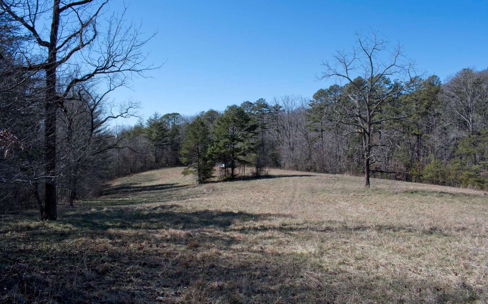 Hayesville, Clay County, NC Undeveloped Land for sale Property ID