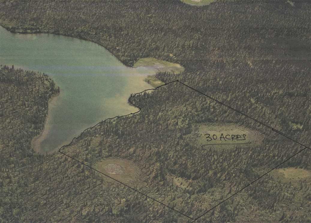 King Salmon, Lake and Peninsula Borough, AK Recreational Property