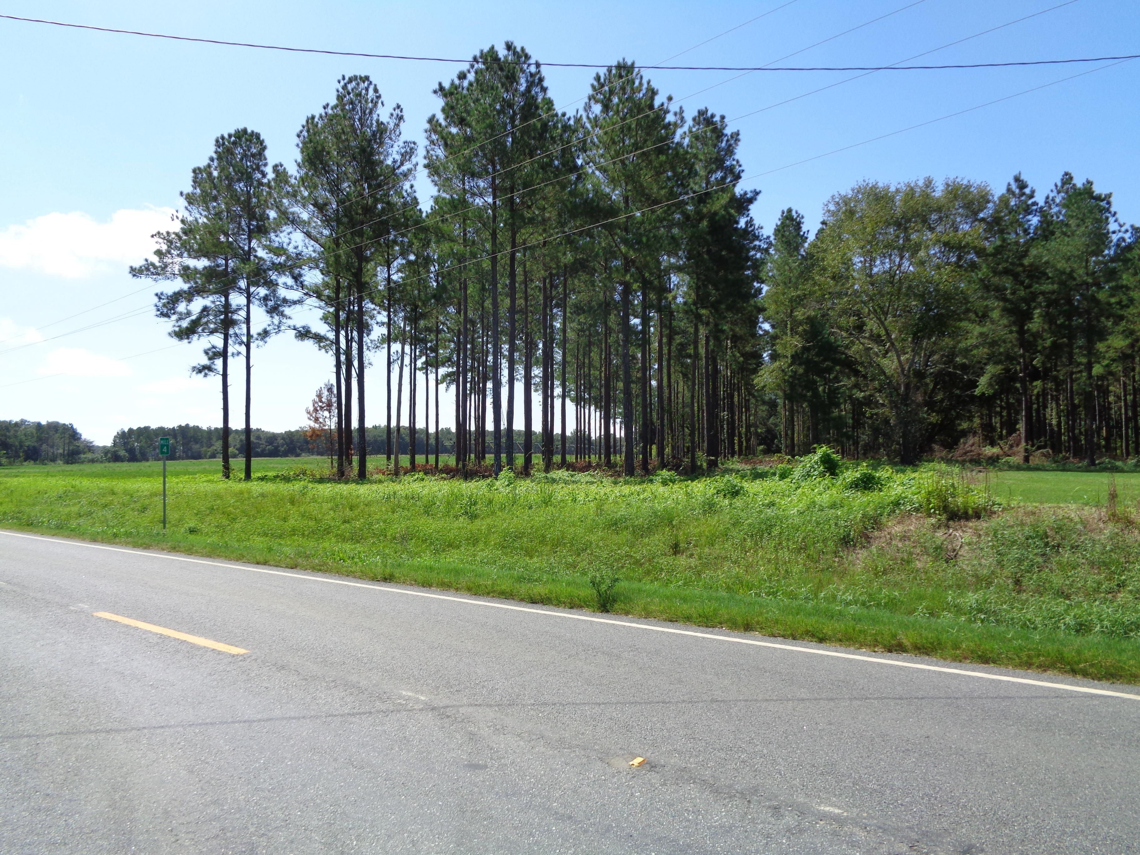 Colquitt, Miller County, GA Recreational Property, Timberland Property