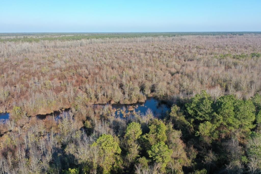 White Lake, Bladen County, NC Recreational Property, Timberland