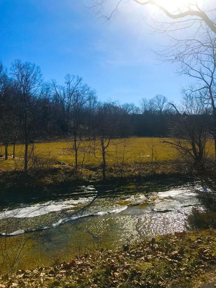 40 acres in Owingsville, KY, 40360 LandWatch