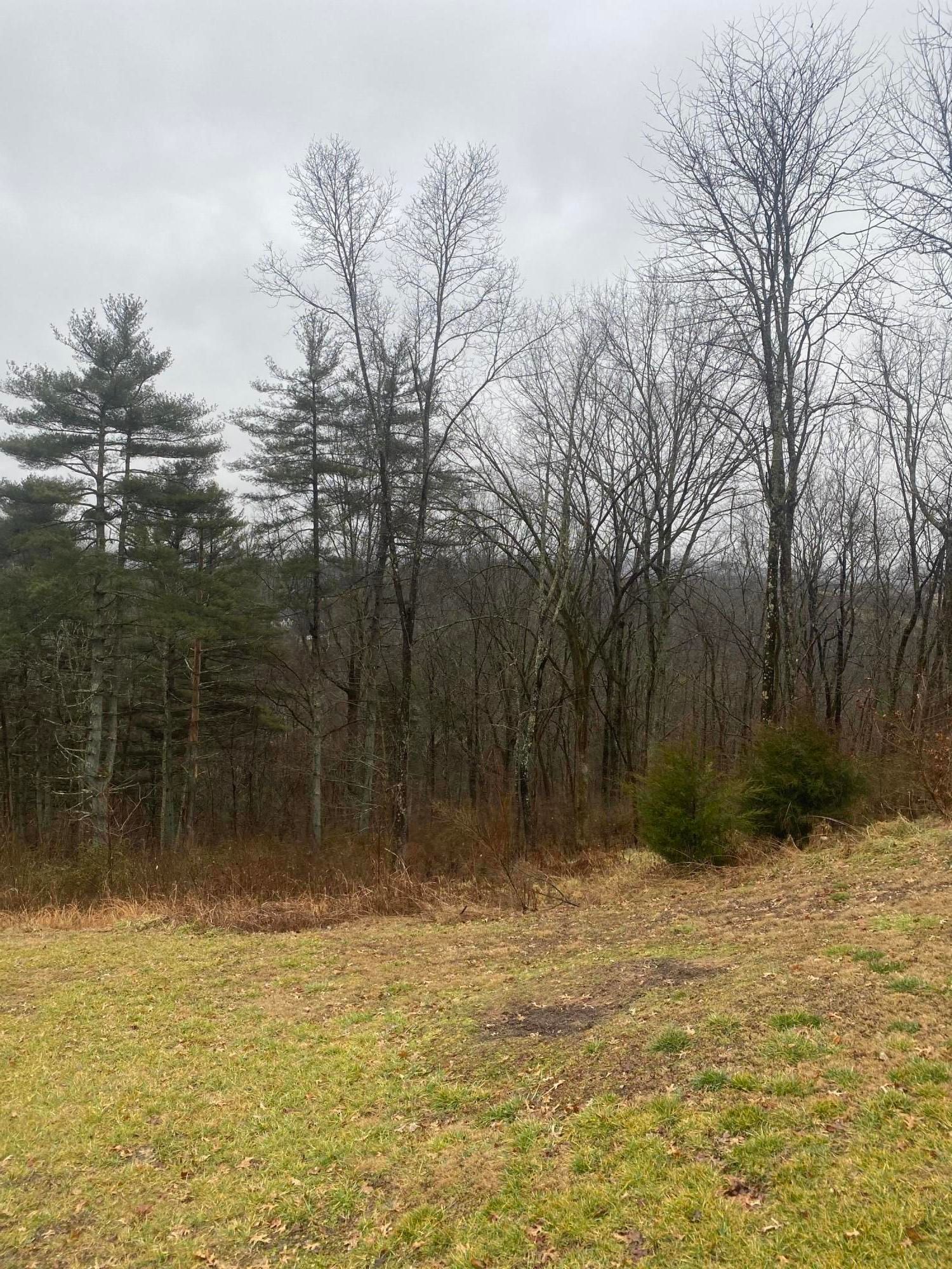 Nora, Dickenson County, VA Undeveloped Land for sale Property ID