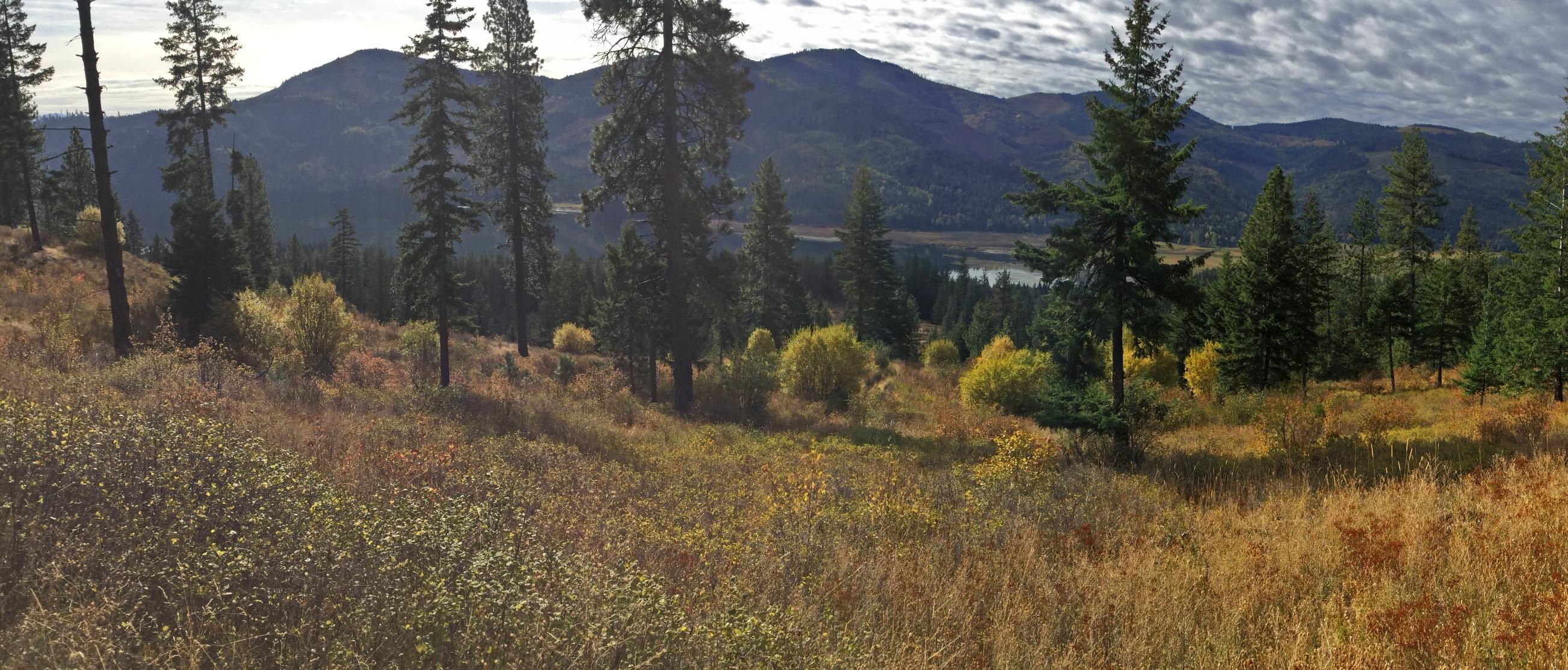 Twin Lakes, Kootenai County, ID Timberland Property, Undeveloped Land