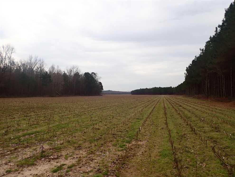 Woodland, Chickasaw County, MS Farms and Ranches, Recreational Property