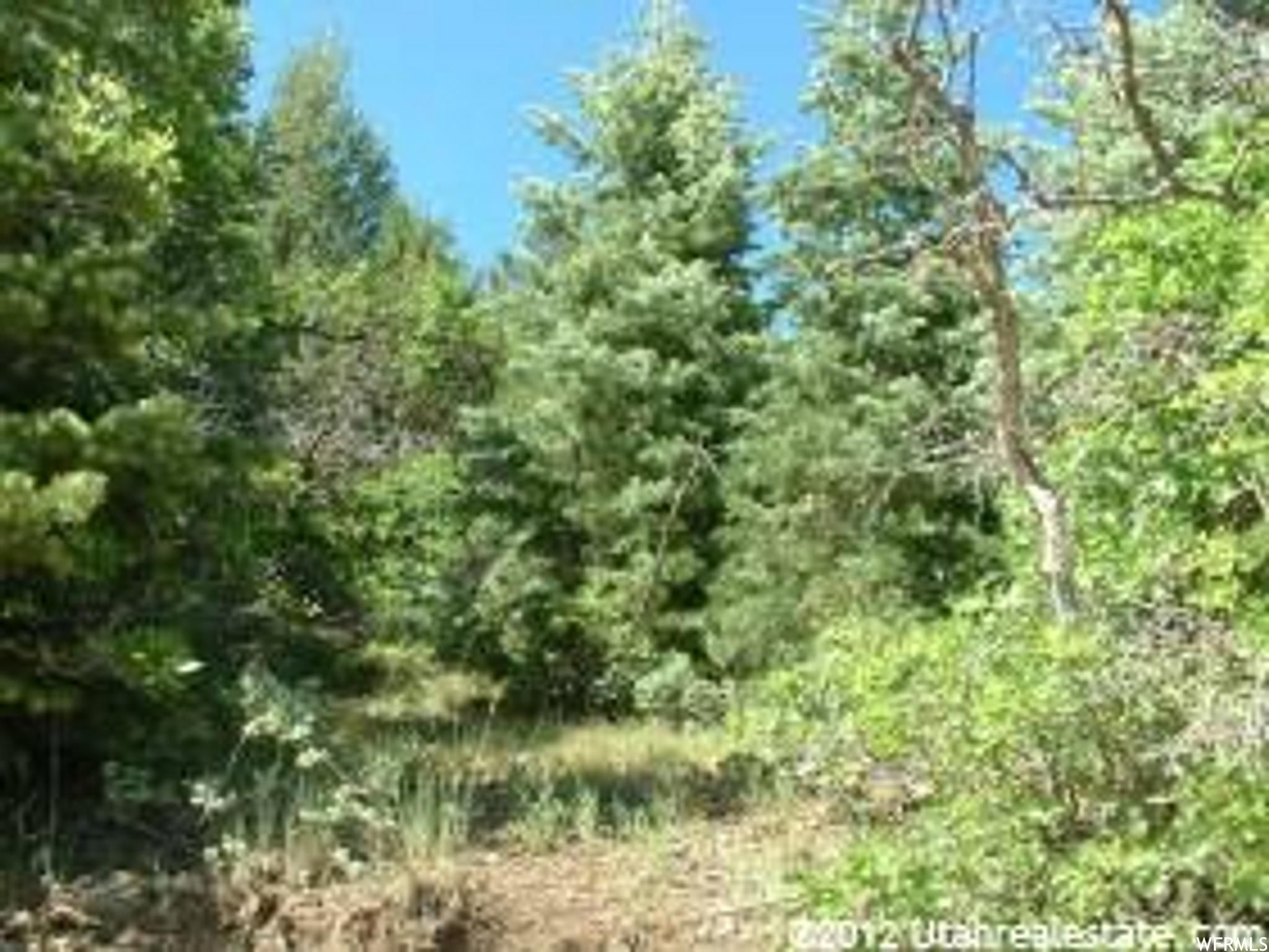 Mount Pleasant, Sanpete County, UT Recreational Property, Horse