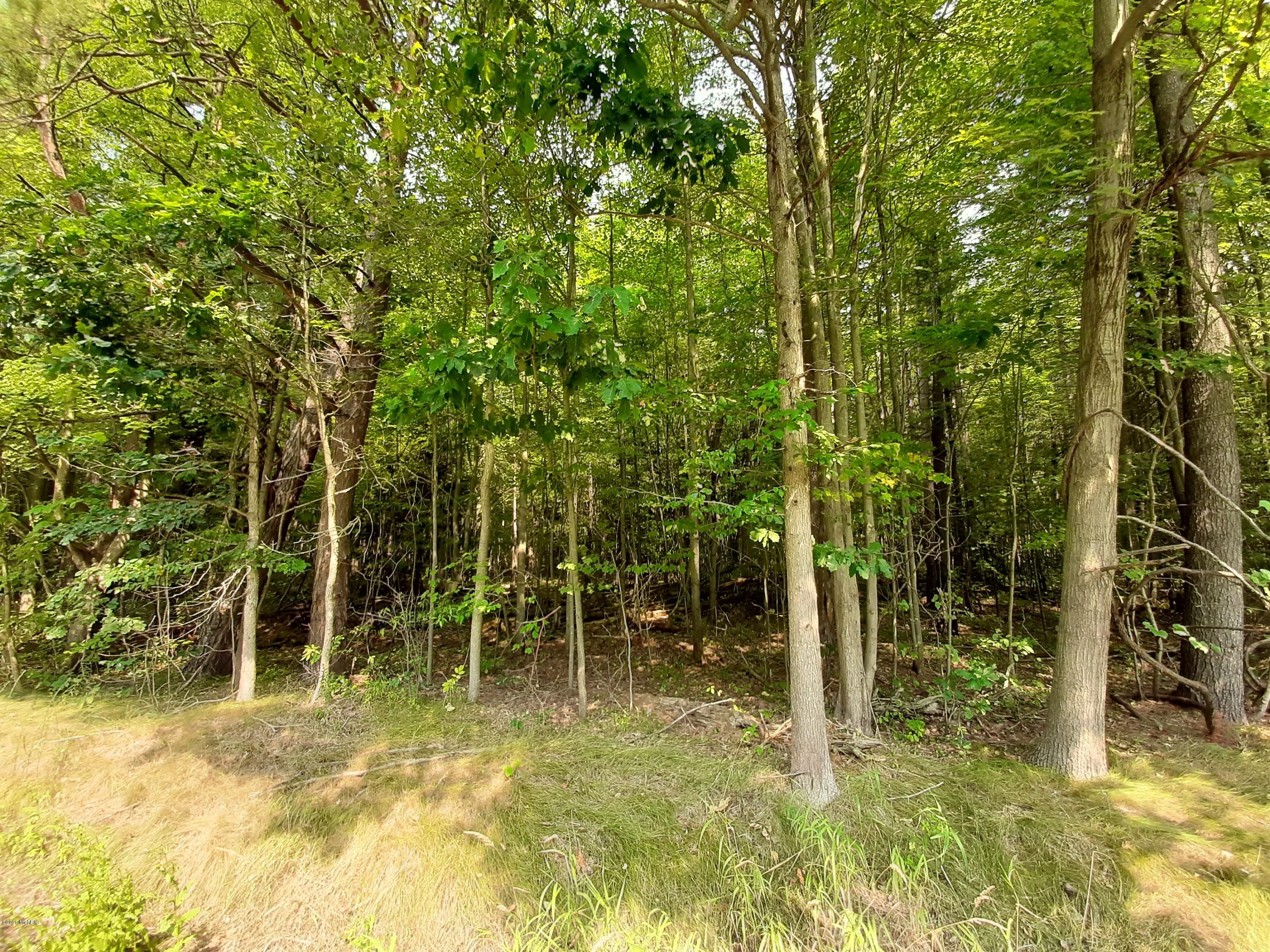 Ravenna, Muskegon County, MI Undeveloped Land for sale Property ID