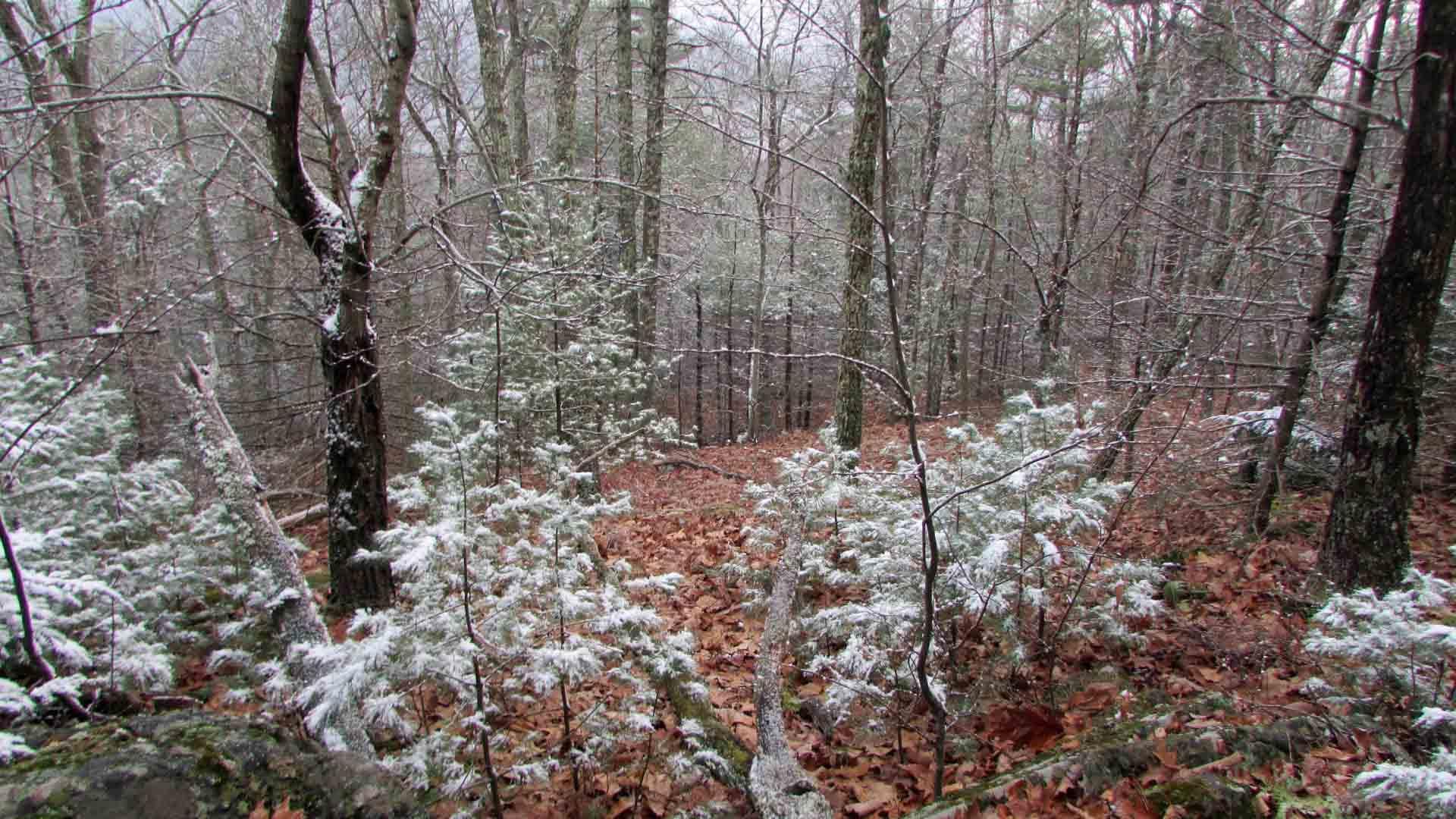 Wurtsboro, Sullivan County, NY Recreational Property, Undeveloped Land