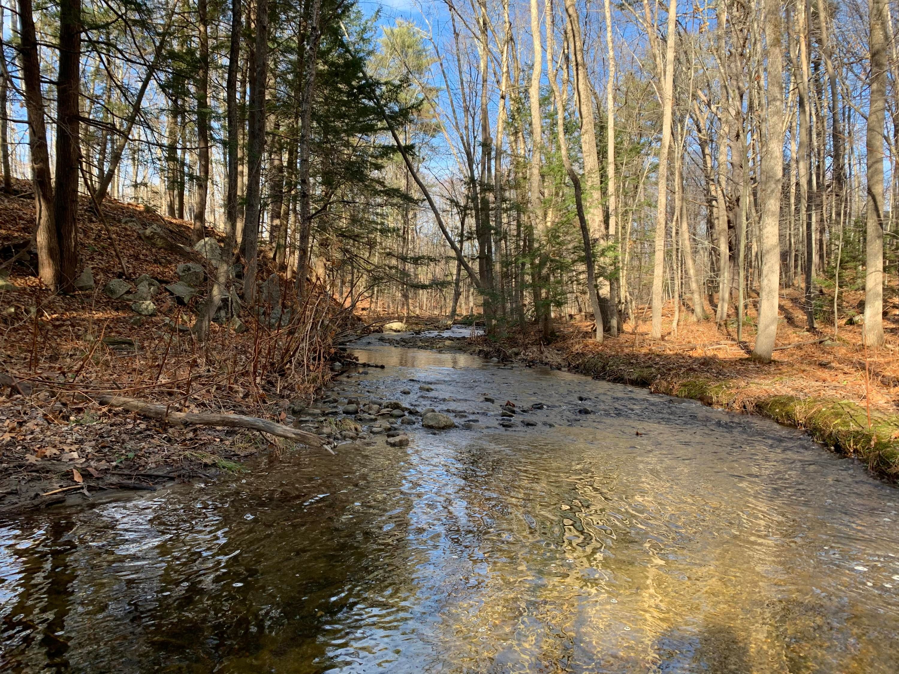 Monmouth, Kennebec County, ME Undeveloped Land, Lakefront Property