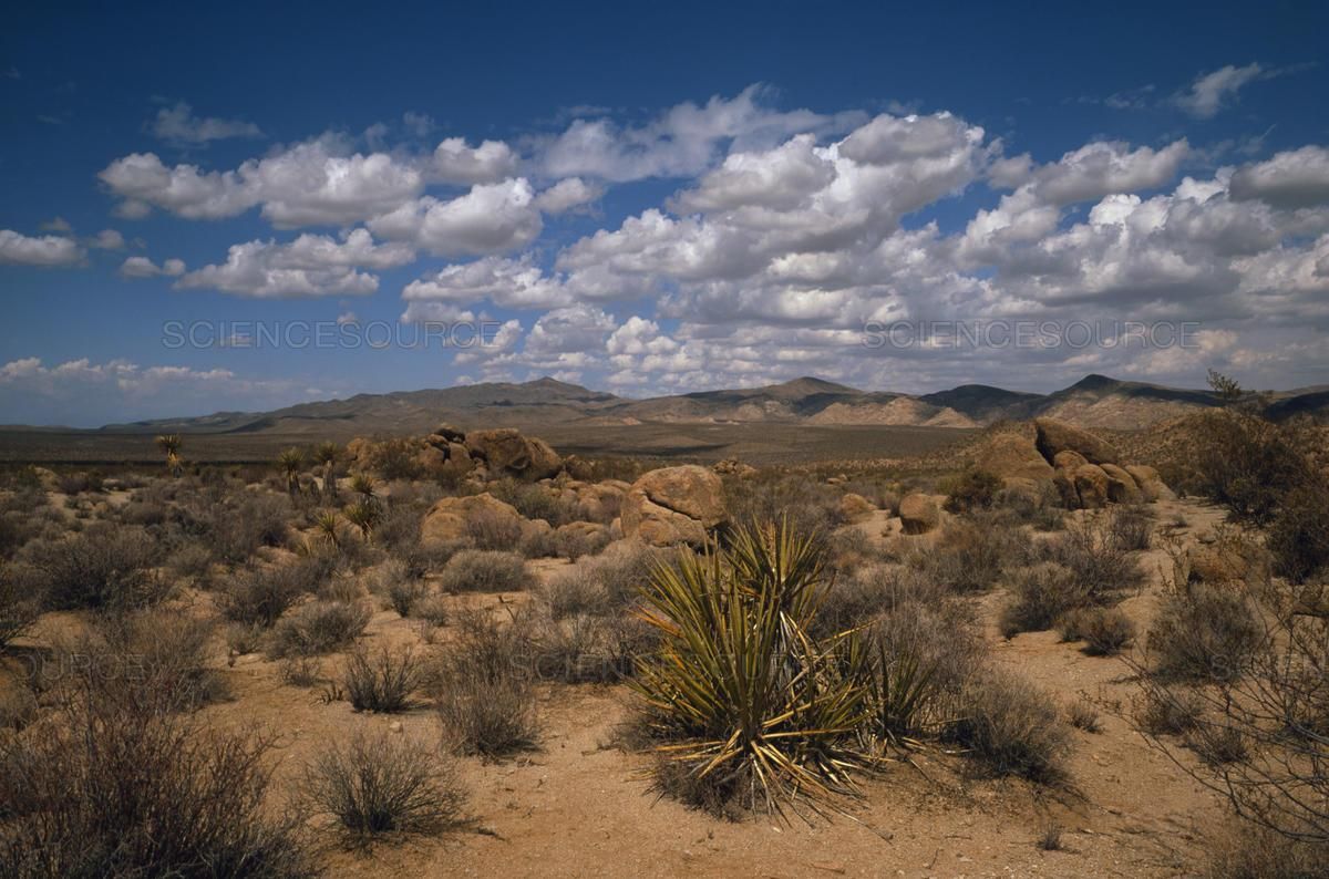 North Edwards, Kern County, CA Farms and Ranches, Undeveloped Land