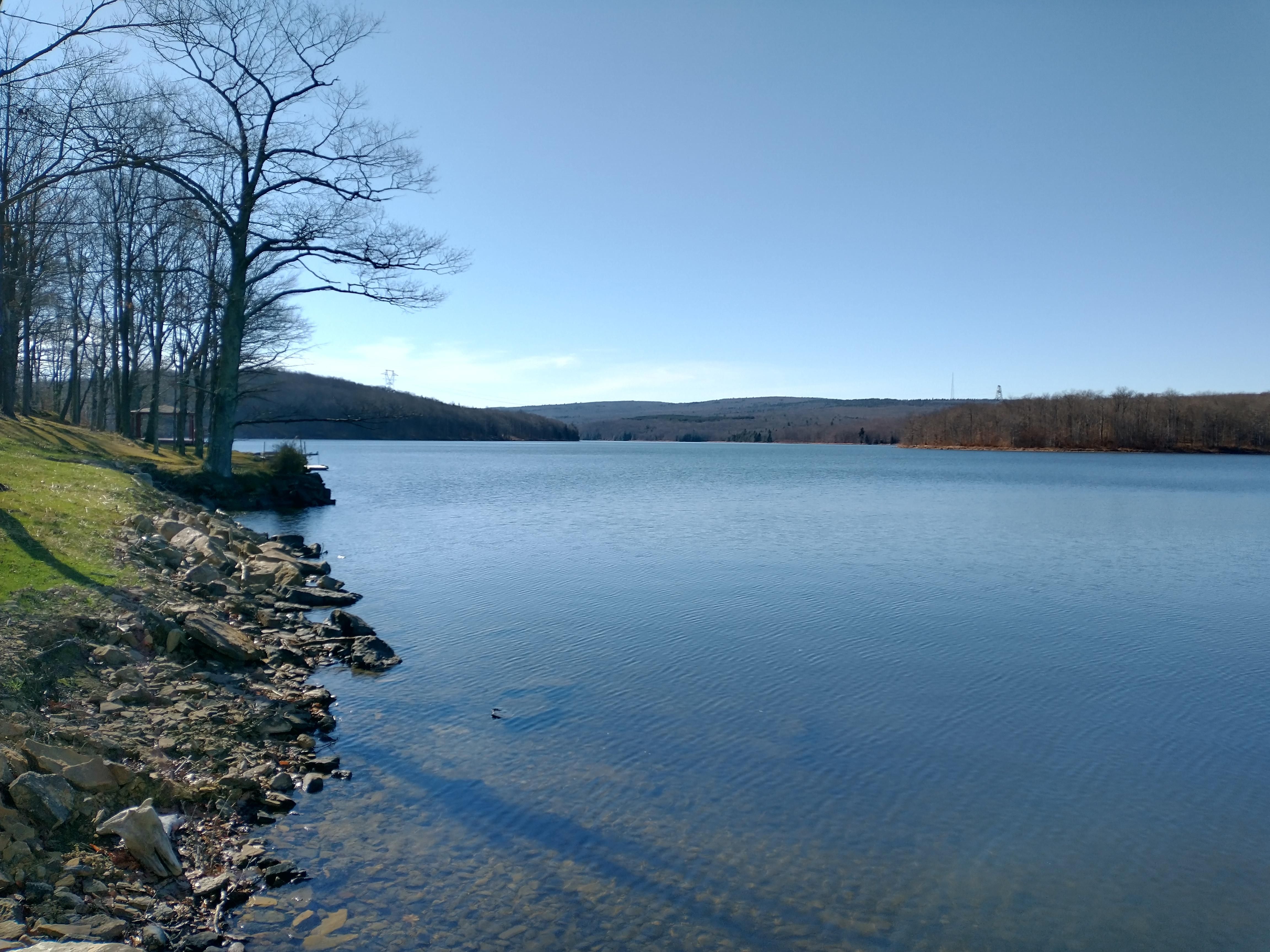 Mount Storm, Grant County, WV Recreational Property, Hunting Property, Lakefront Property