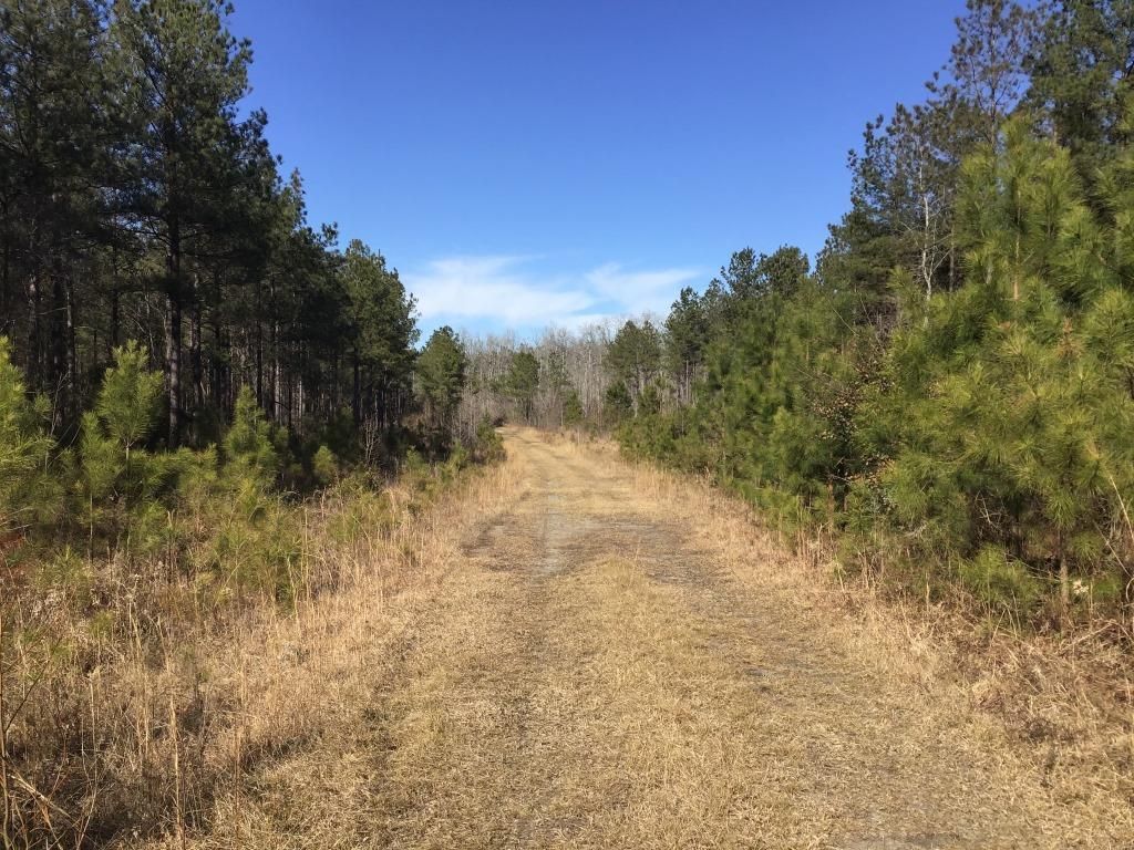 Delco, Brunswick County, NC Recreational Property, Timberland Property