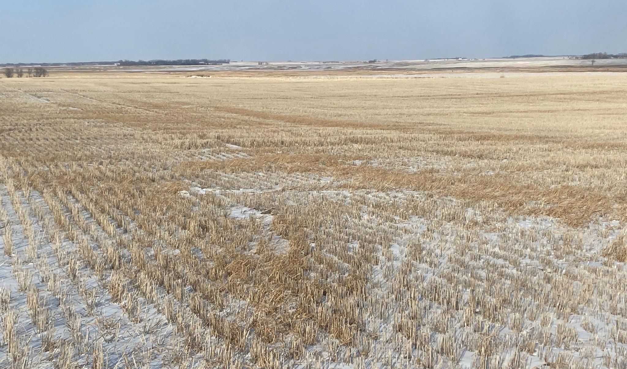 Pingree, Stutsman County, ND Farms and Ranches, Hunting Property for