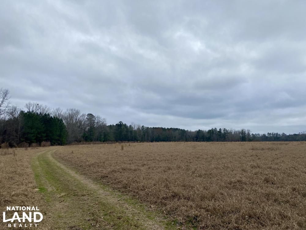 Fairfax, Allendale County, SC Farms and Ranches, Recreational Property