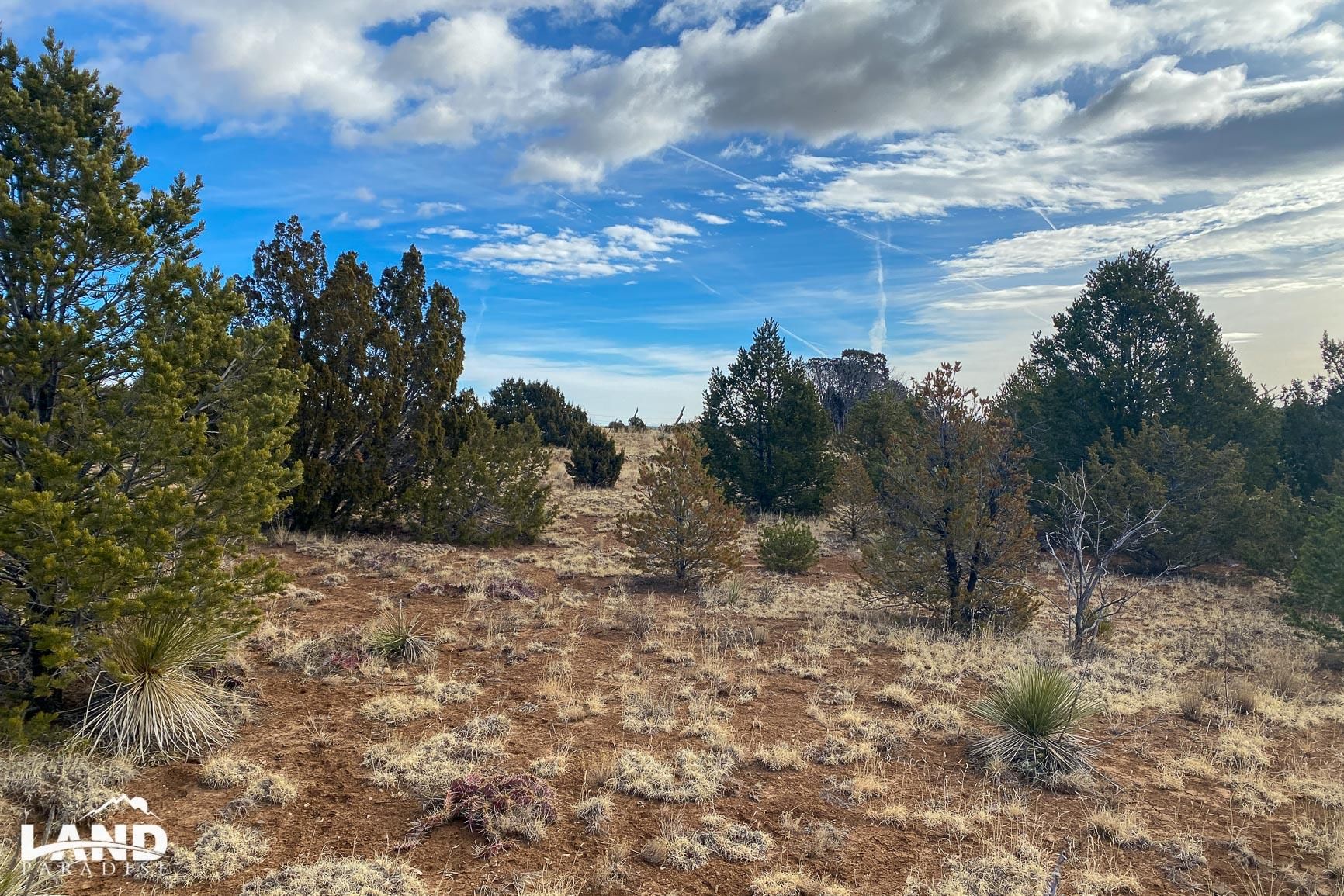 Tijeras, Bernalillo County, NM Recreational Property, Undeveloped Land