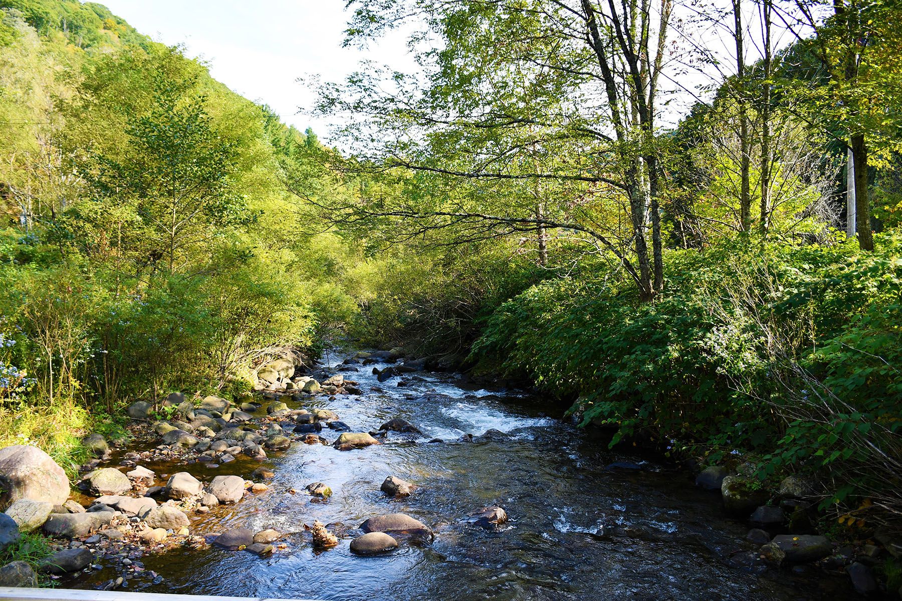 Newland, Avery County, NC Undeveloped Land for sale Property ID