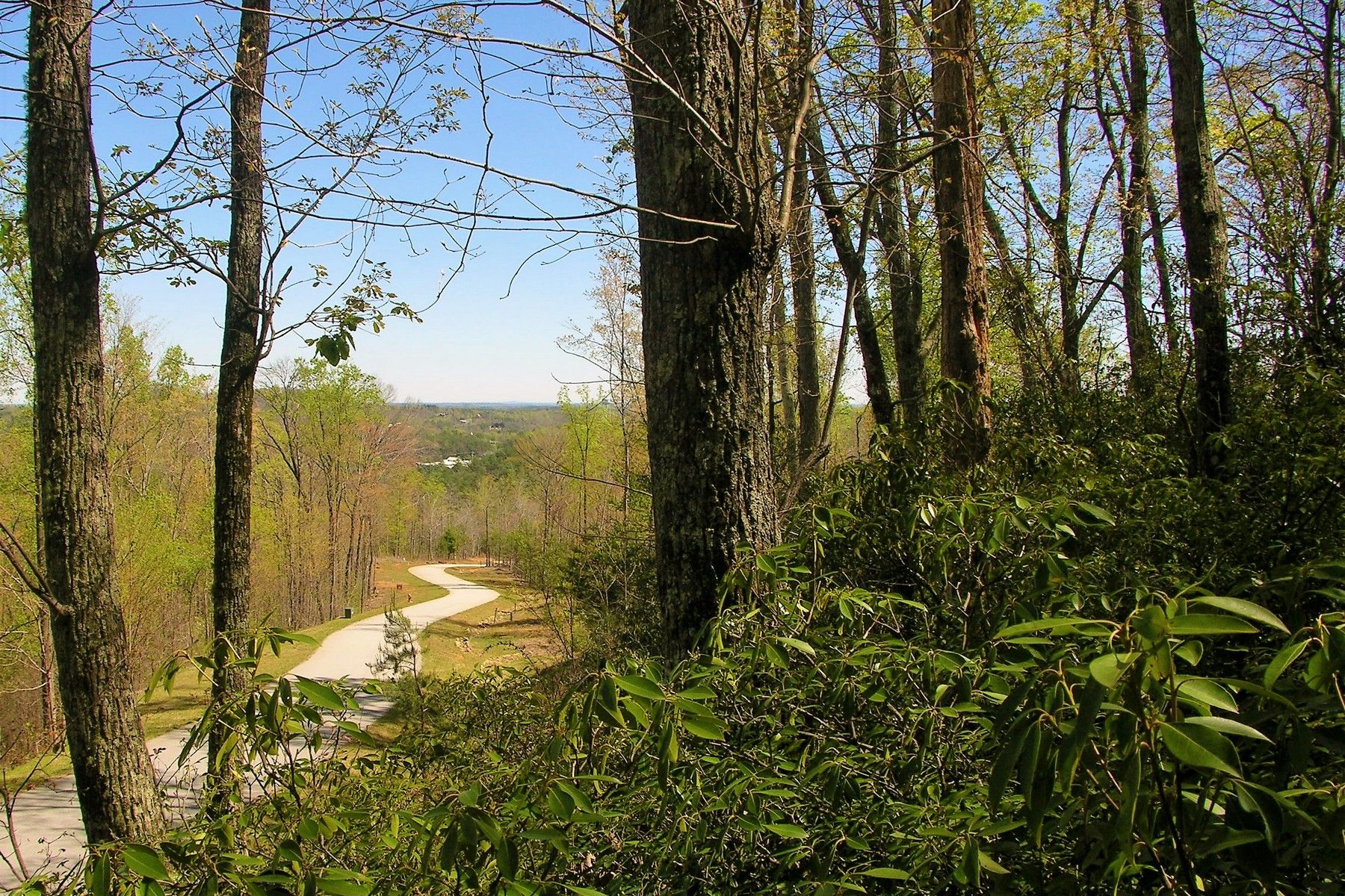 Lake Lure, Rutherford County, NC Undeveloped Land, Homesites for sale