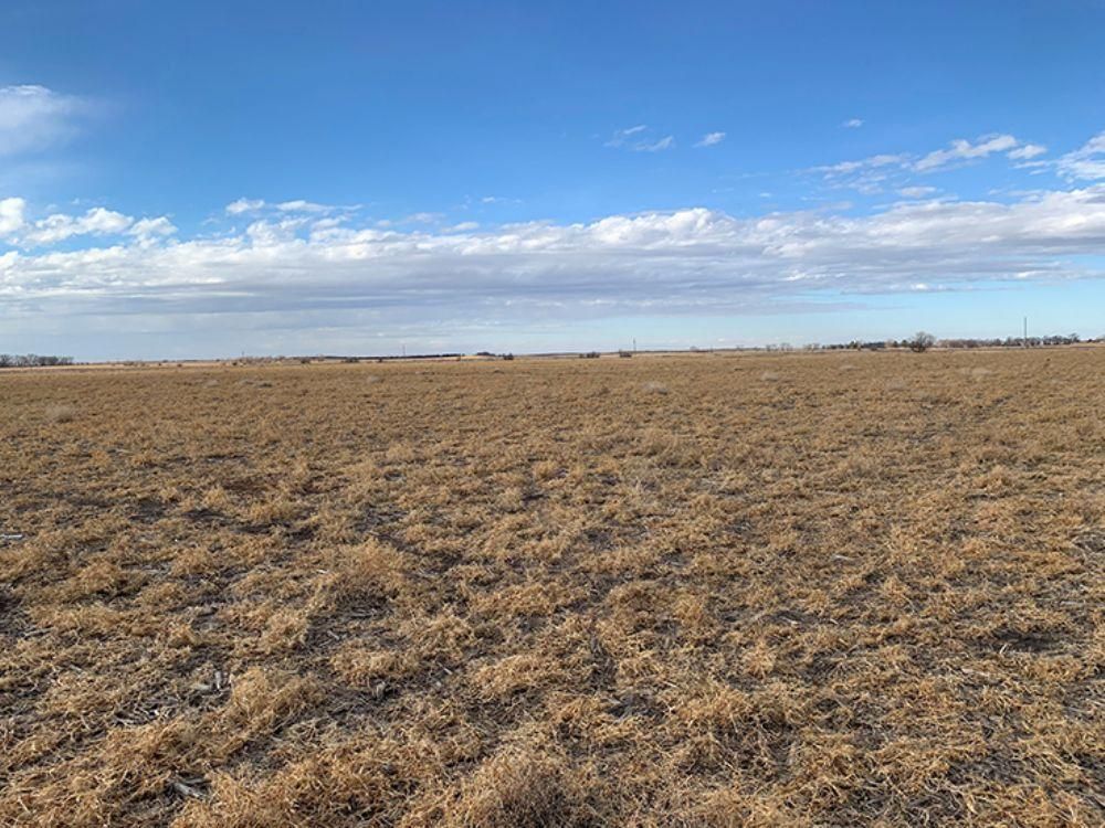 Tuthill, County, SD Farms and Ranches, Hunting Property for