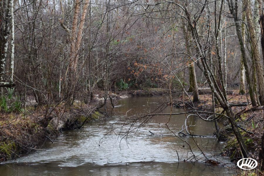 Wrightsville, Johnson County, GA Recreational Property, Timberland