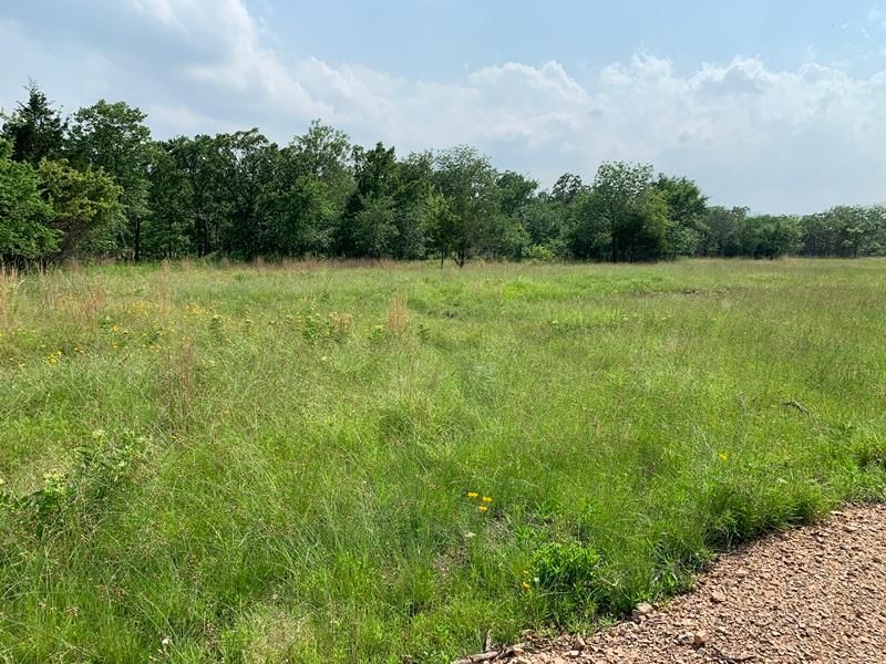 Albion, Pushmataha County, OK Recreational Property, Homesites for sale Property ID 409466960