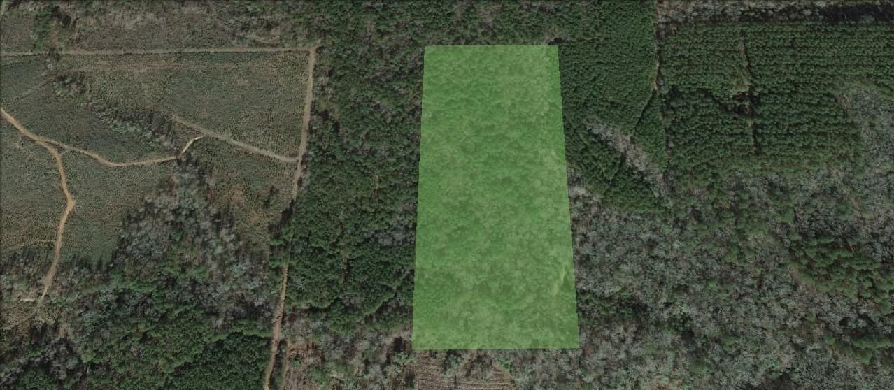 Dubberly, Bienville Parish, LA Recreational Property, Undeveloped Land
