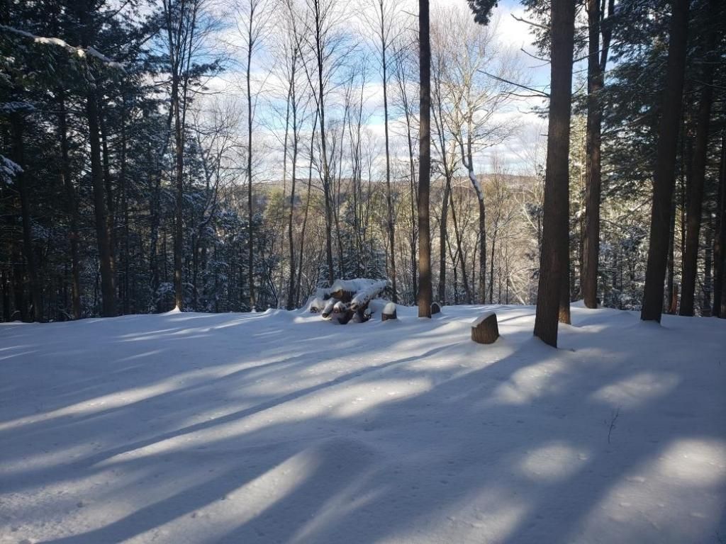 Chesterfield, Cheshire County, NH Undeveloped Land for sale Property ID