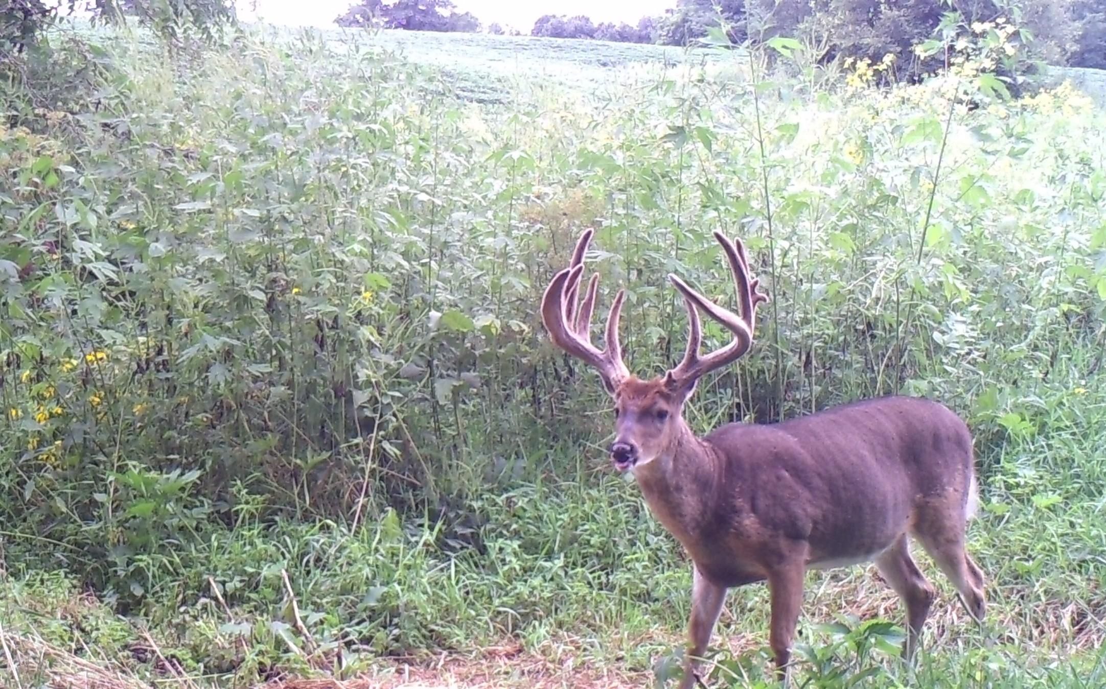 280 acres in Van Wert, IA, 50262 LandWatch