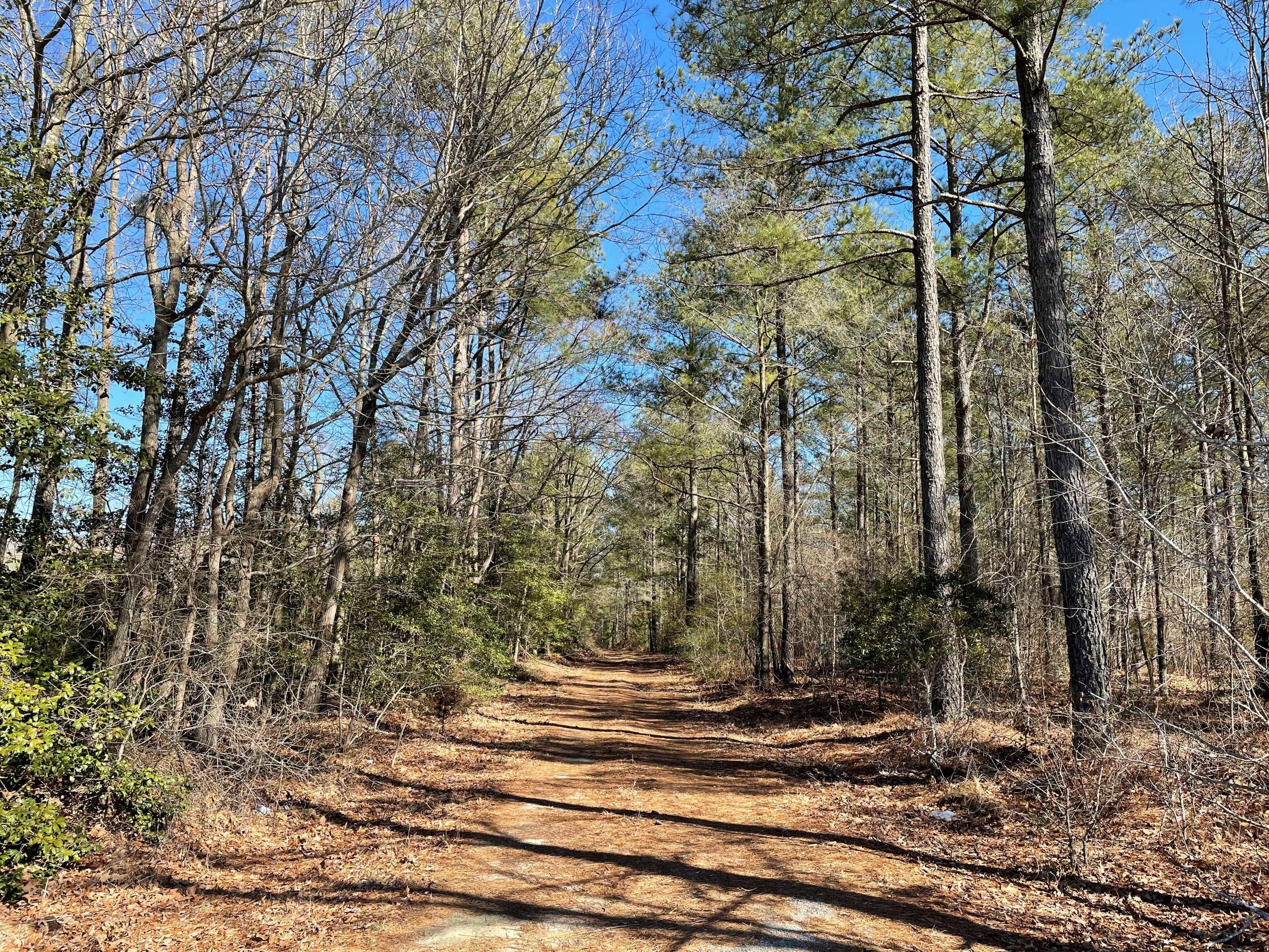 Emporia, Greensville County, VA Recreational Property, Timberland