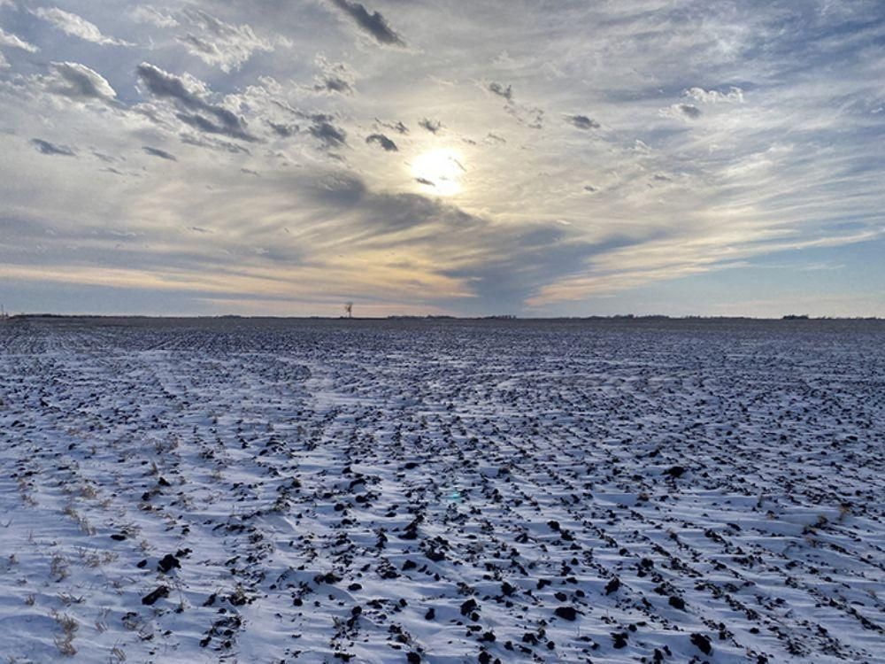 Kennedy, Kittson County, MN Farms and Ranches for auction Property ID