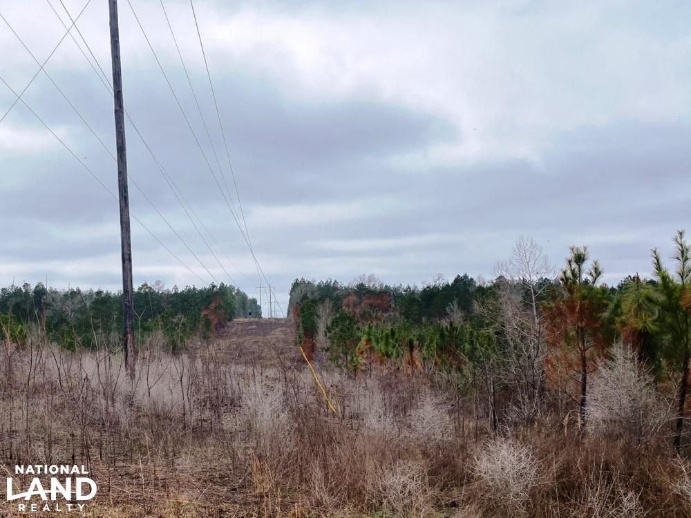 2272 Purvis Baxterville Road, Lumberton, MS 39455 LandWatch