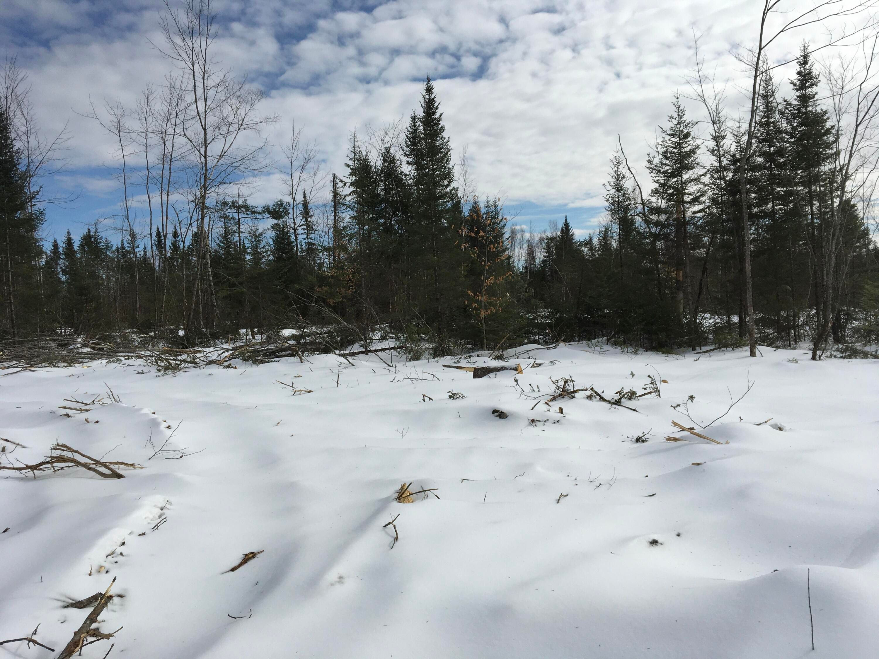 Bradford, Penobscot County, ME Undeveloped Land, Lakefront Property