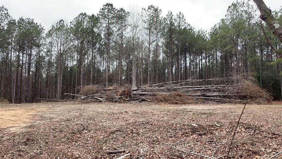 Brandon, Rankin County, MS Undeveloped Land for sale Property ID