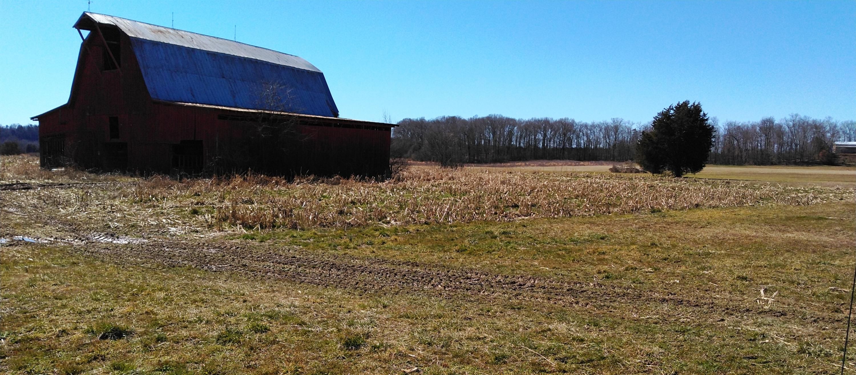 Mohawk, Greene County, TN Undeveloped Land for sale Property ID