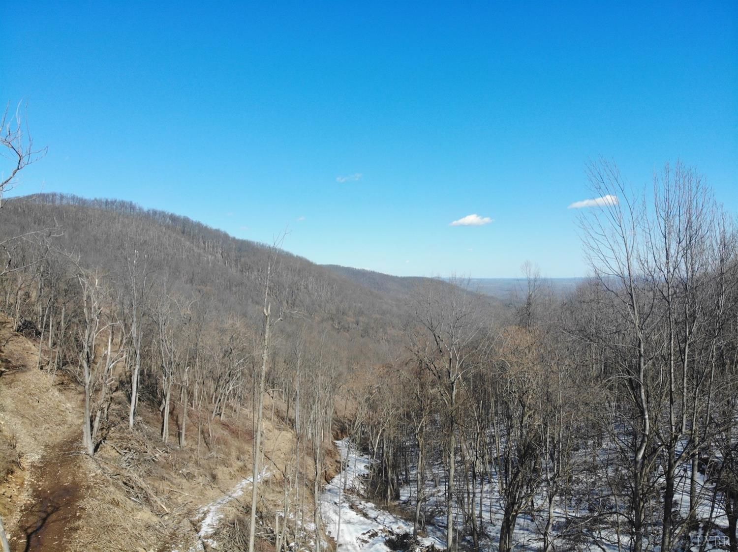 Lynchburg, Bedford County, VA Undeveloped Land for sale Property ID